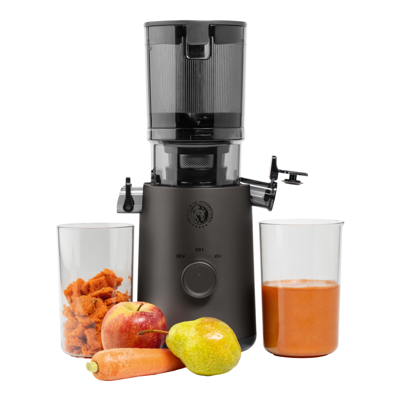 CHEF CUISINE Slow Juicer